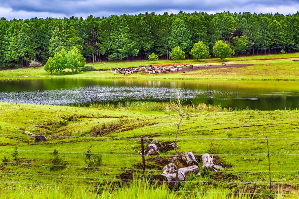 Umzimkulu River Lodge Underberg Zewnętrze zdjęcie