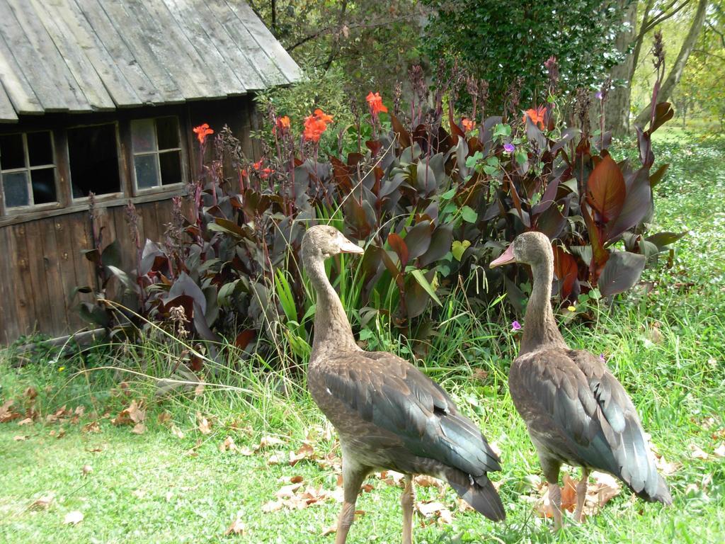 Umzimkulu River Lodge Underberg Zewnętrze zdjęcie
